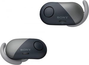 Sony True Wireless Earbuds,