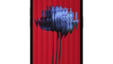 Nothing Phone (1) Price in Pakistan