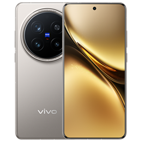 Vivo X200 Pro Titanium Gray