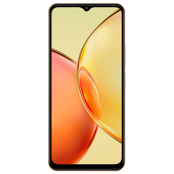 Vivo Y17s Price in Pakistan, Specs & Features