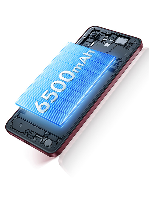 Vivo Y21d 6500 mAh Battery