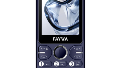 Faywa Bass Pro Price in Pakistan