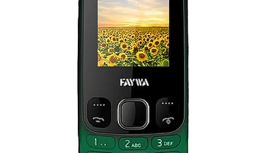 Faywa F21 Price in Pakistan