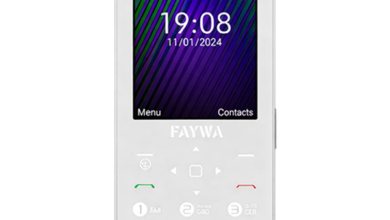 Faywa Smart 2 Price in Pakistan