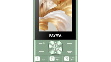 Faywa Smart Max Price in Pakistan