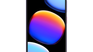 Nubia V80 Max Price in Pakistan