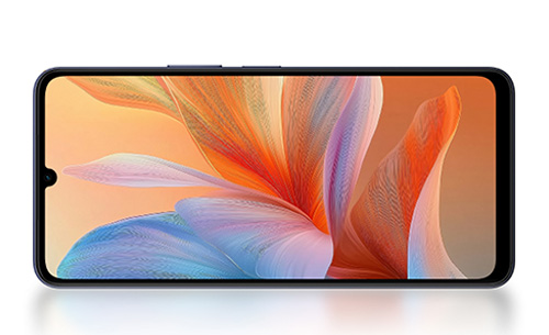 Vivo Y05 Display