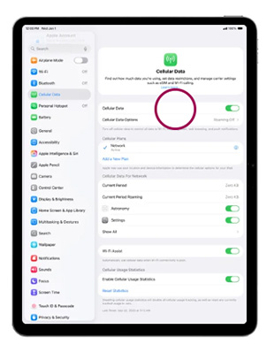 Enable Zong 5G on your Apple iPad Air 13 Choose Cellular Data Options