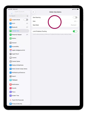 Enable Zong 5G on your Apple iPad Air 13 Choose Data