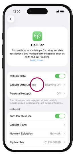 Enable Zong 5G on your Apple iPhone Air Cellular Data Option